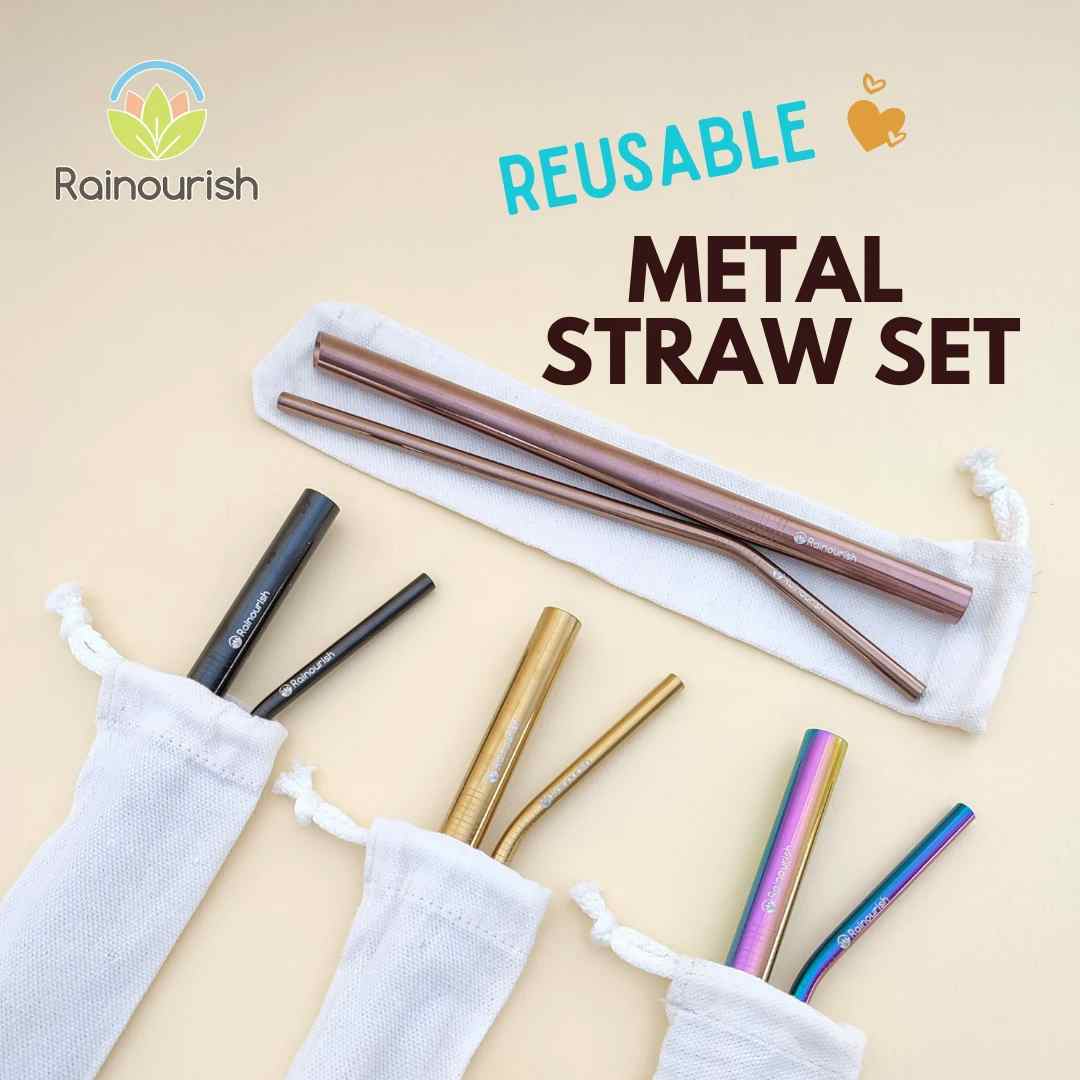 2 in 1 Rainourish Reusable Stainless Steel Metal Straw Set